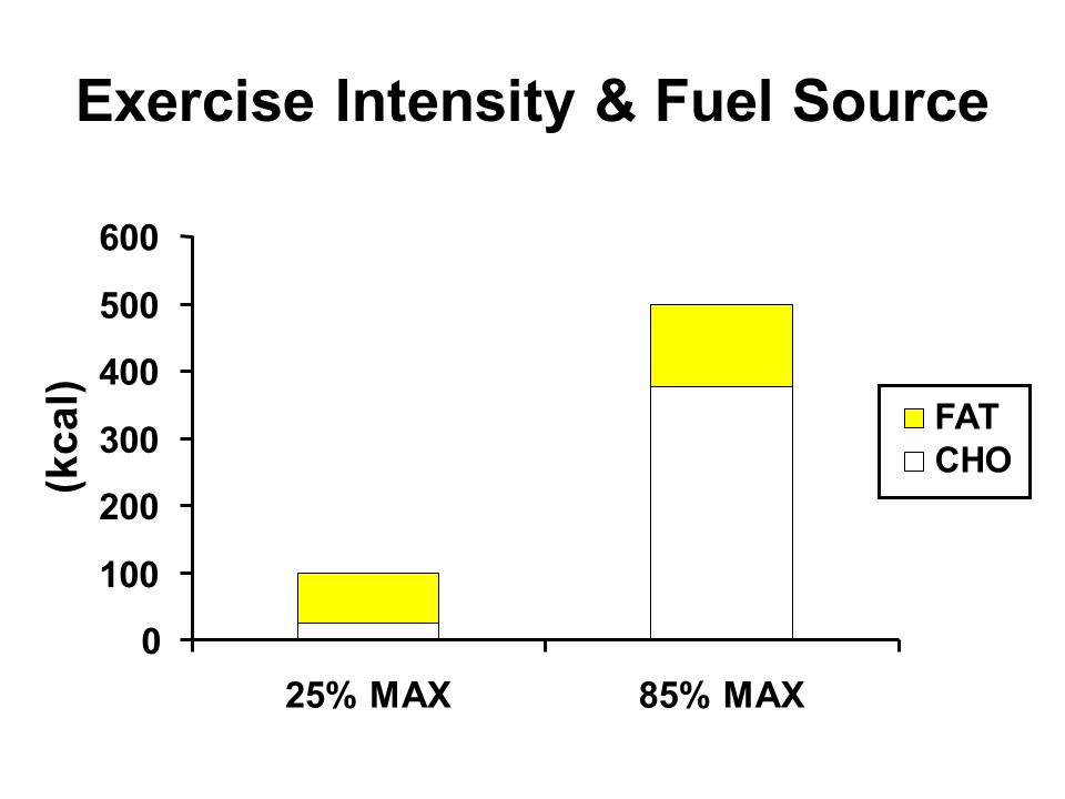 Exercise Intensity & Fuel Source