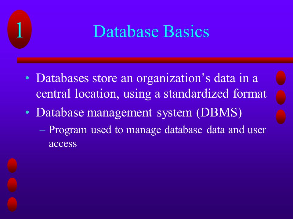 Database Basics Databases store an organization’s data in a central location, using a standardized format.