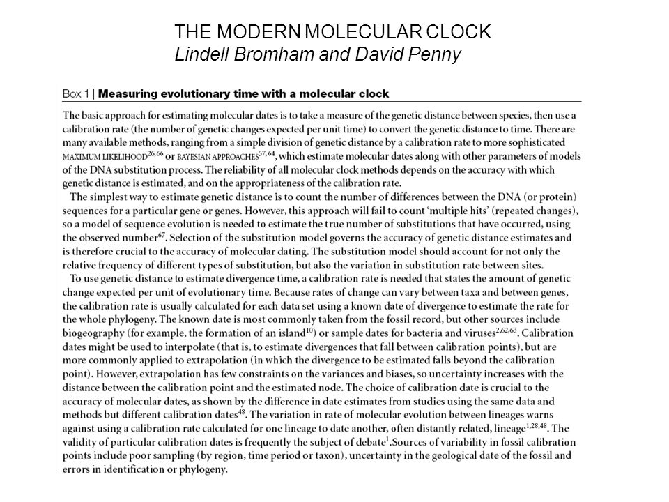 THE MODERN MOLECULAR CLOCK