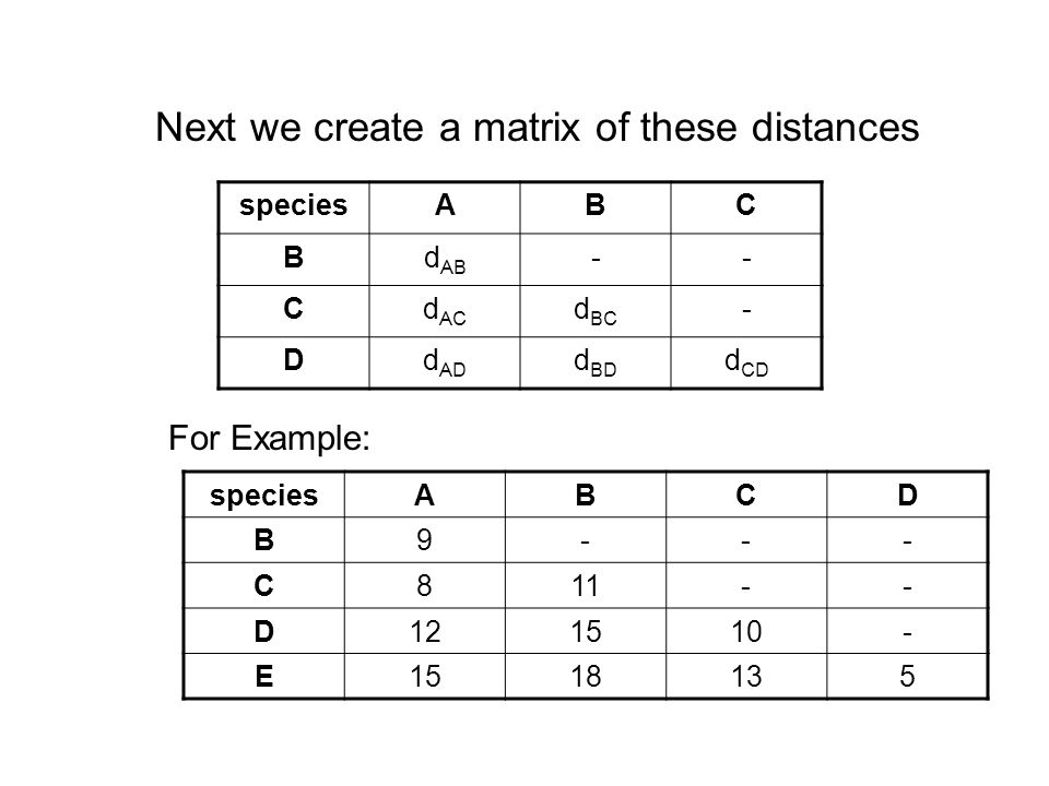 Next we create a matrix of these distances