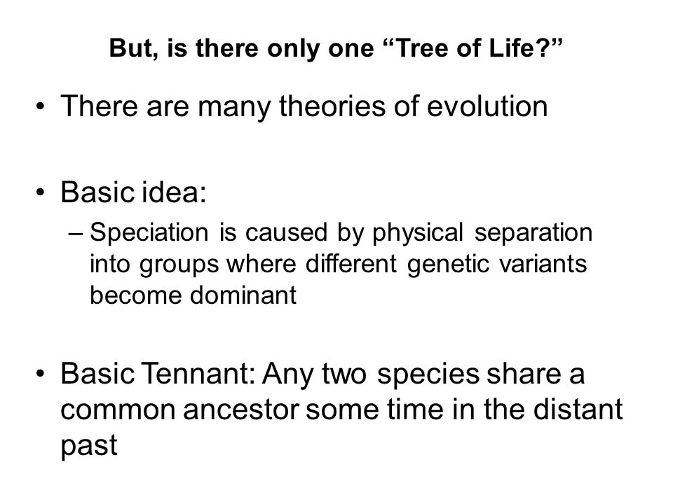 But, is there only one Tree of Life