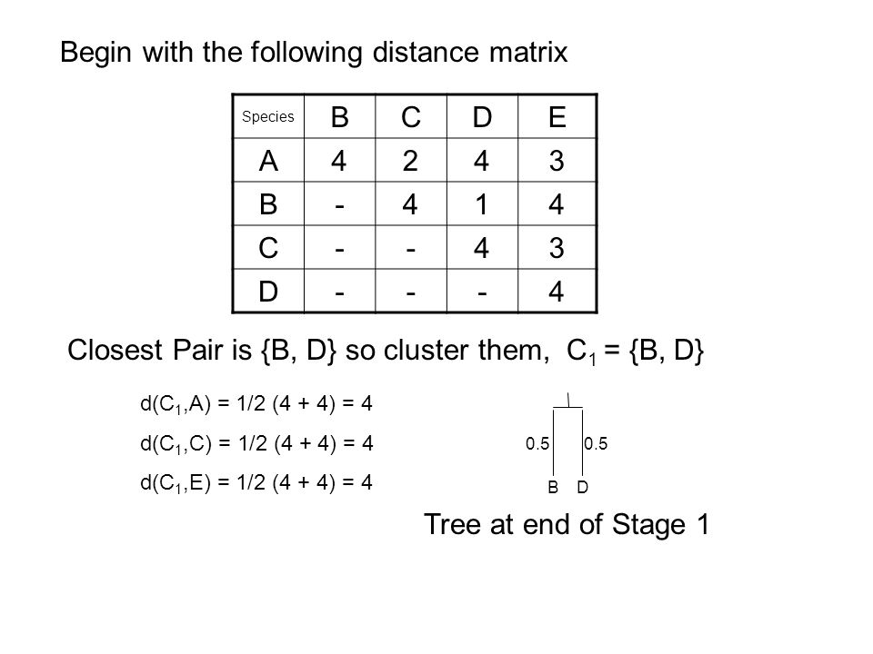 Begin with the following distance matrix B C D E A