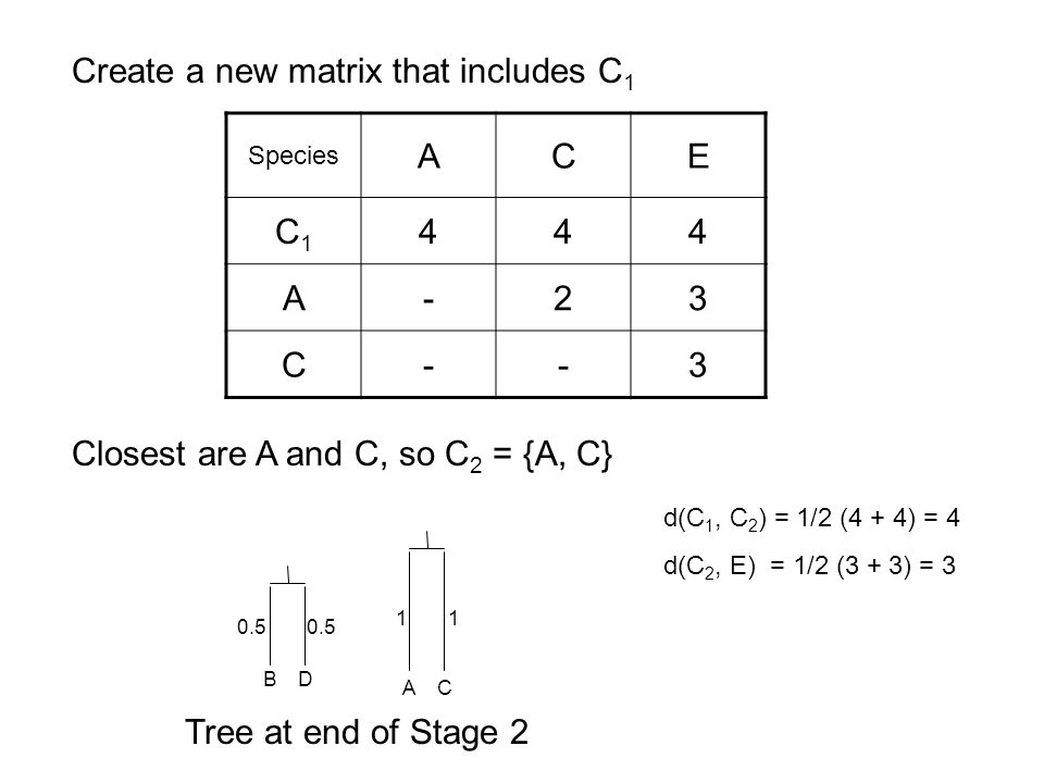 Create a new matrix that includes C1 A C E C