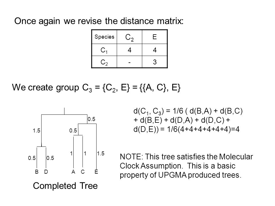 Once again we revise the distance matrix: