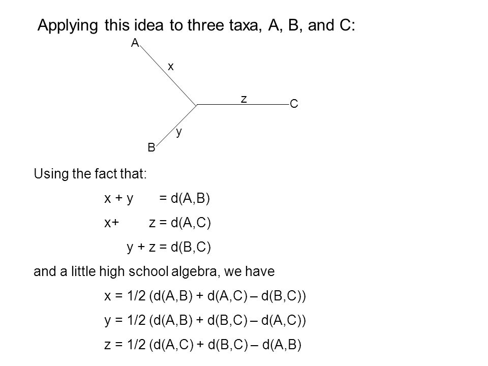 Applying this idea to three taxa, A, B, and C: