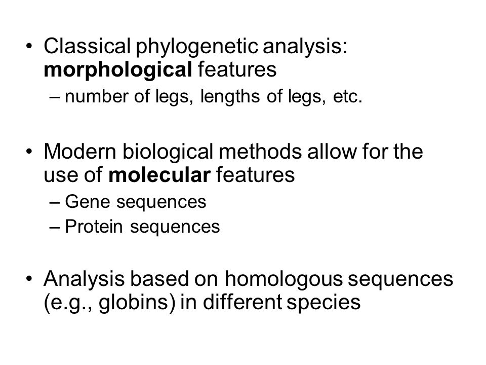 Classical phylogenetic analysis: morphological features