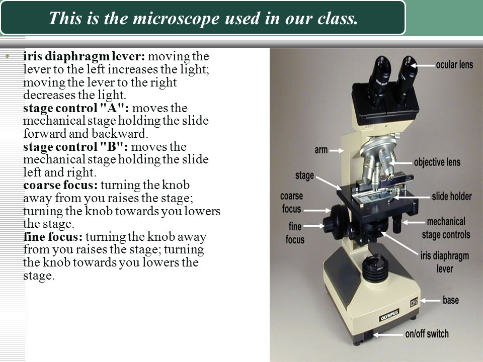 Why should microscope lenses not be touched