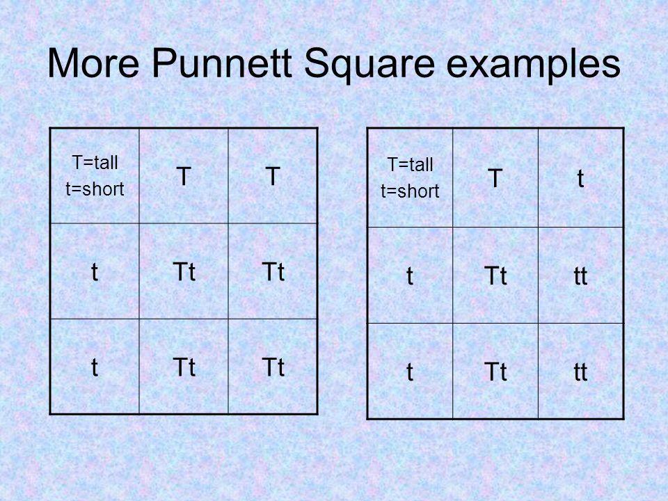 More Punnett Square examples