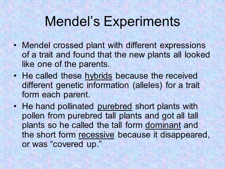 Mendel’s Experiments Mendel crossed plant with different expressions of a trait and found that the new plants all looked like one of the parents.