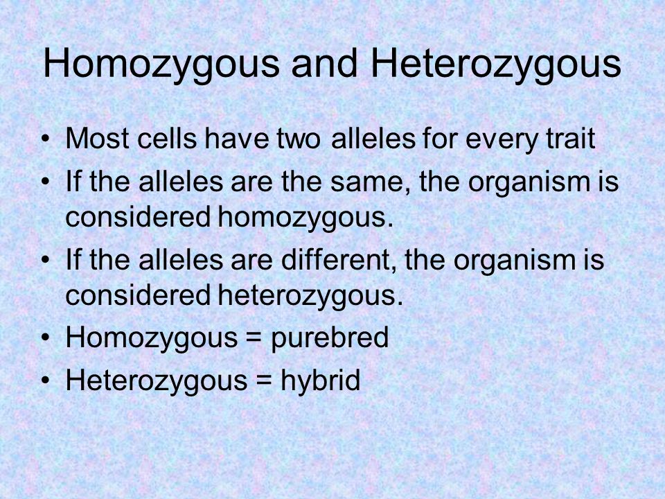 Homozygous and Heterozygous