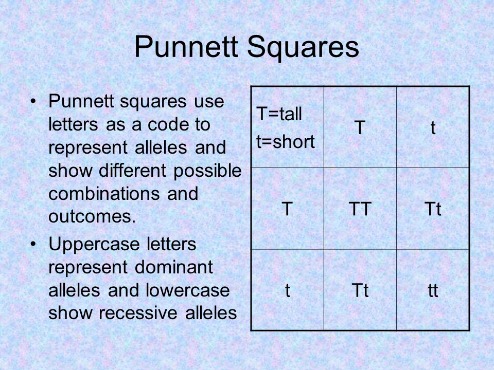 Punnett Squares Punnett squares use letters as a code to represent alleles and show different possible combinations and outcomes.