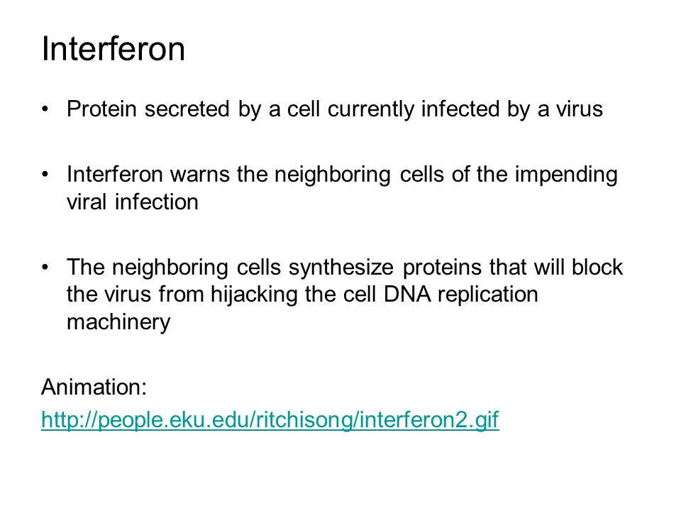 Interferon Protein secreted by a cell currently infected by a virus