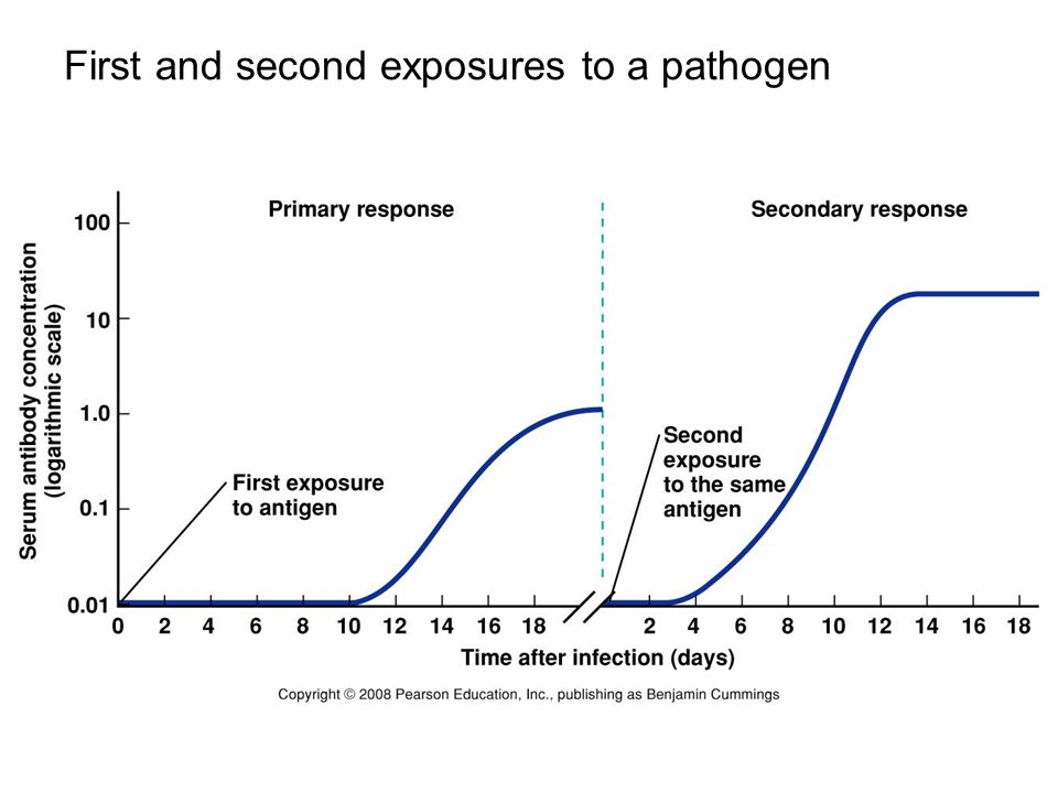 First and second exposures to a pathogen