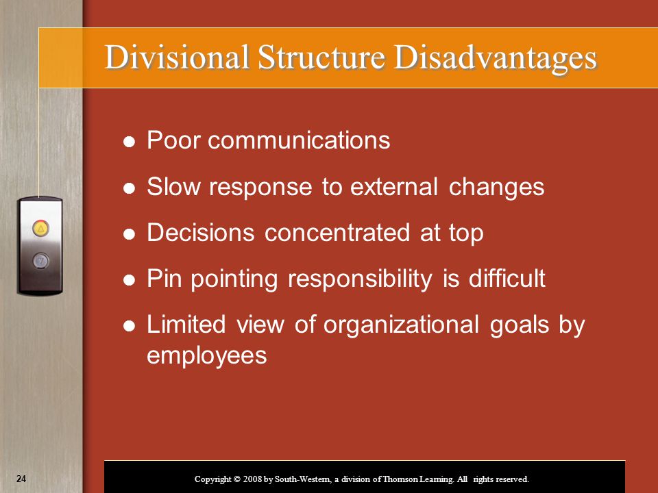 Divisional Structure Disadvantages