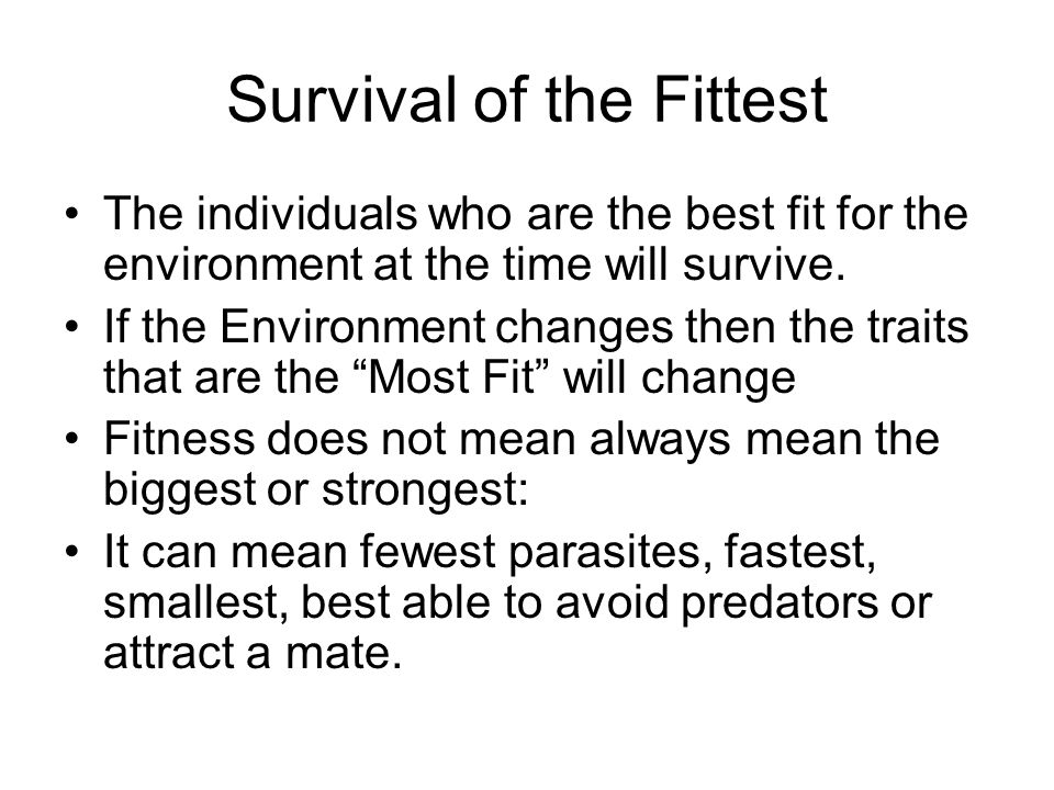 Get Wallpaper Survival Of The Fittest Who Is The Fittest Cricket Ppt Video HD