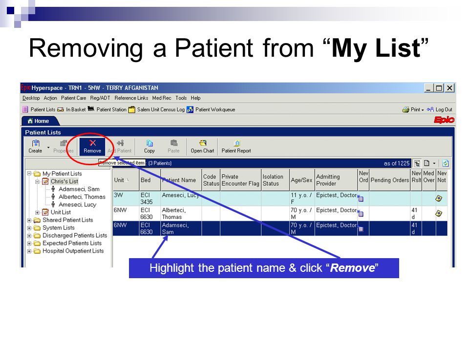 Epic Medical Charting System