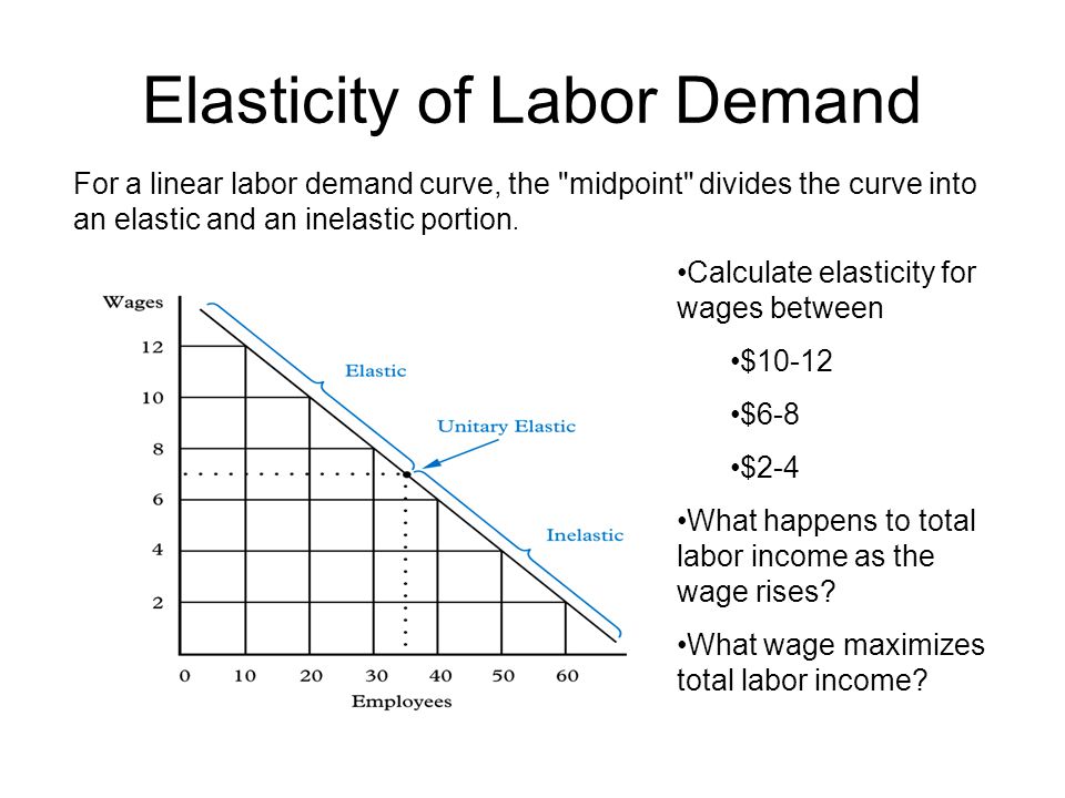 Chapter 4. Labor Demand Elasticities. - ppt video online download