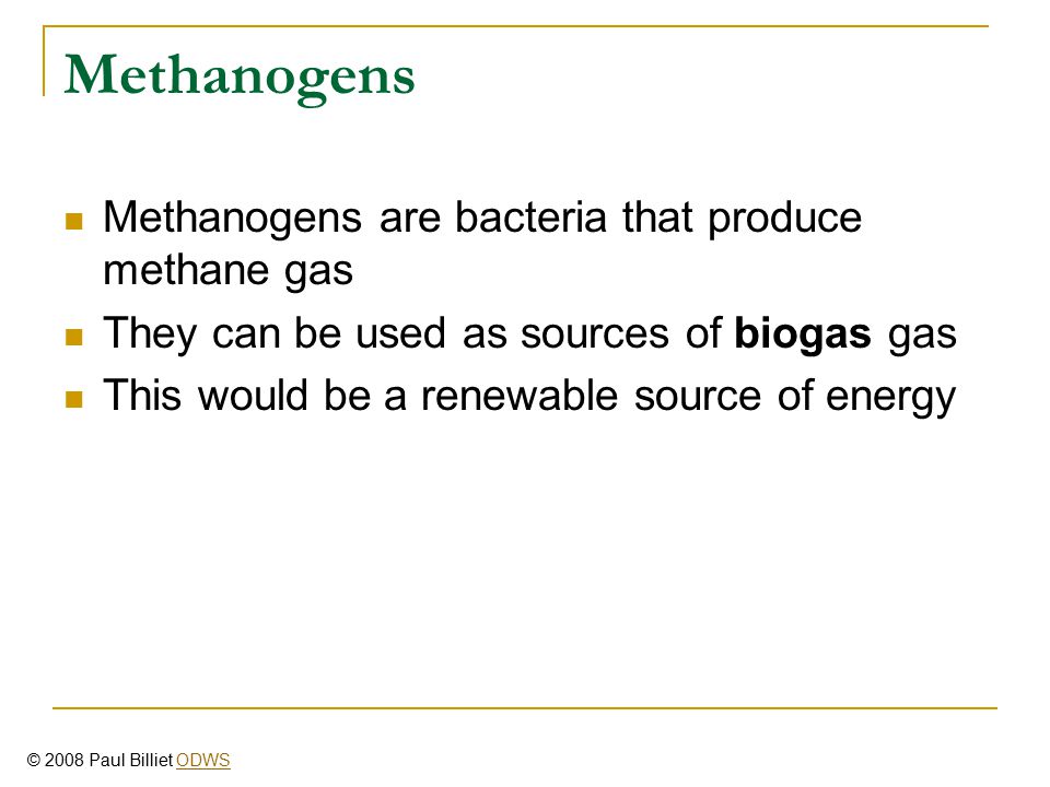 METHANOGENS AND BIOGAS - ppt download