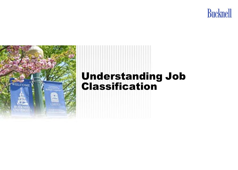 Understanding Job Classification