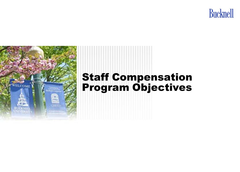 Staff Compensation Program Objectives