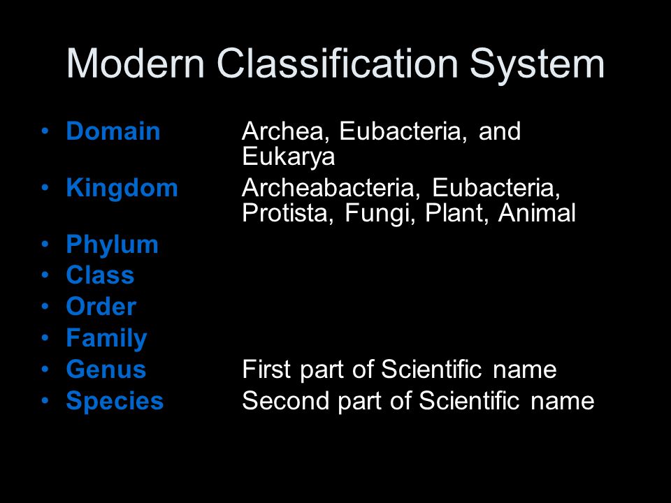 Classification The evolution of Complexity: - ppt download