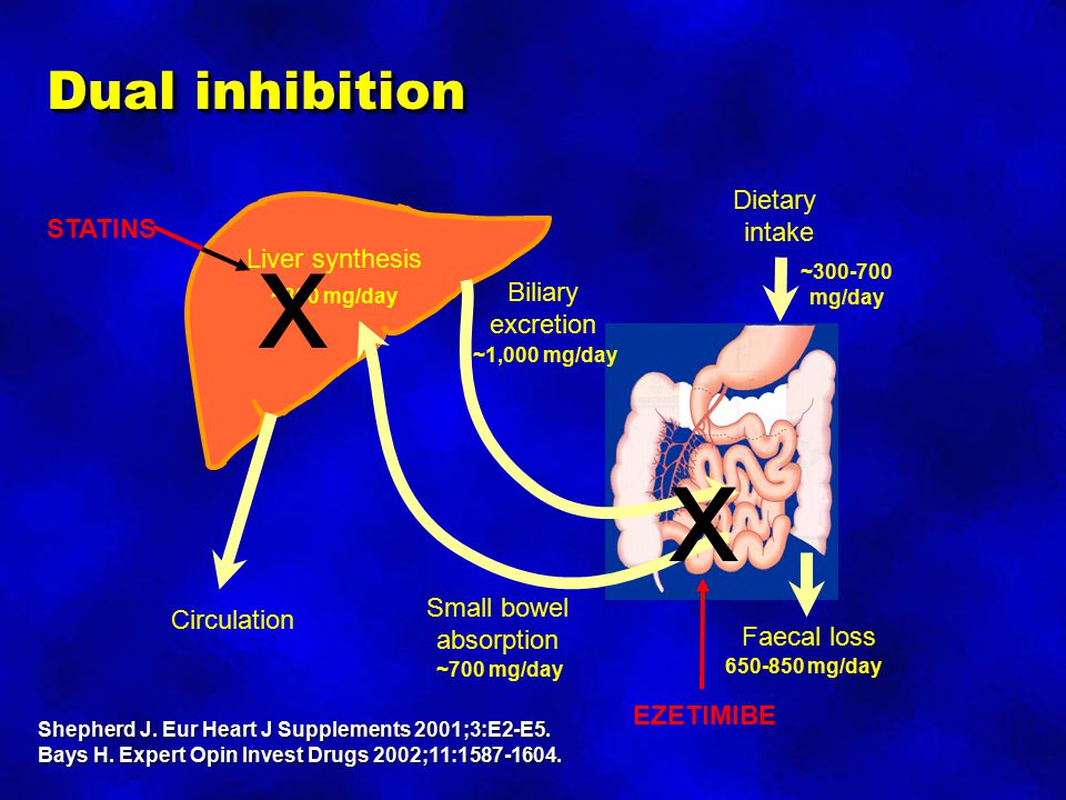 x x Dual inhibition Dietary intake STATINS Liver synthesis Biliary
