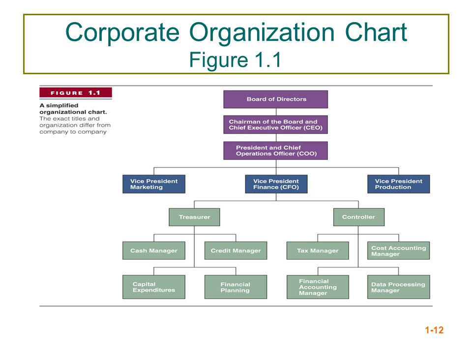 Corporate Organization Chart Figure 1.1