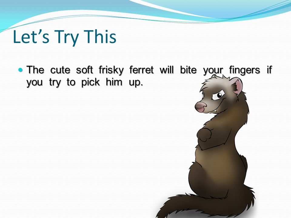 Ferret the frisky Frisky Ferret
