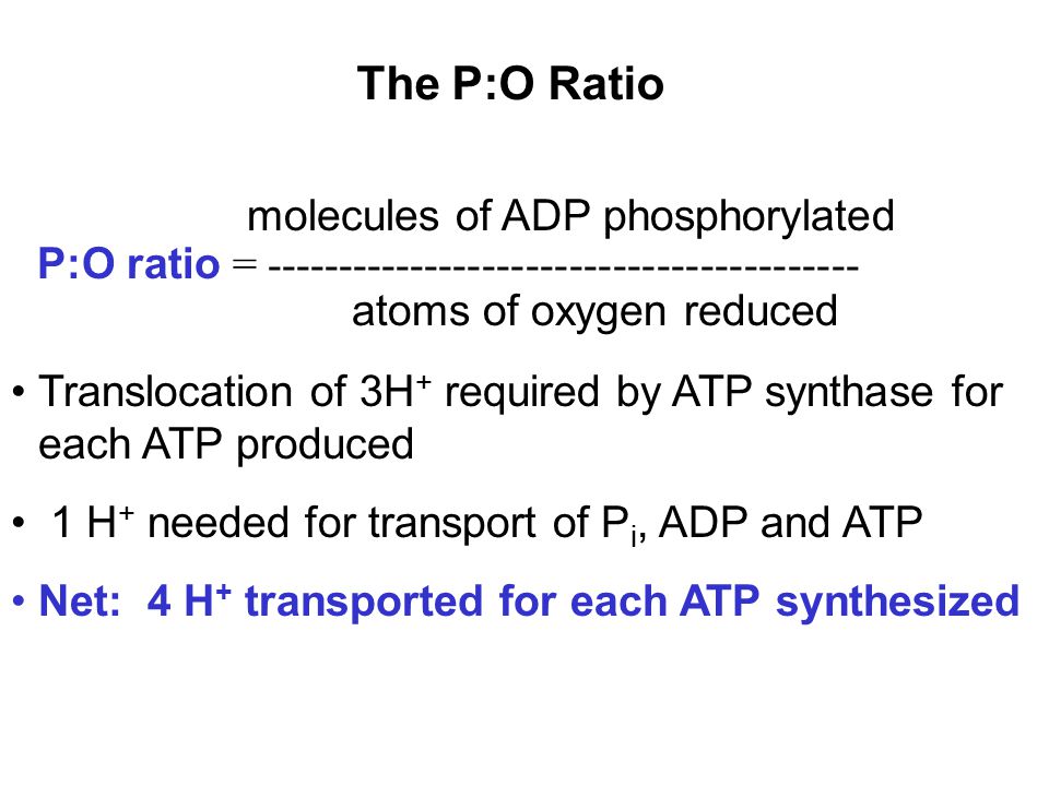 Chapter 14 Electron Transport And Oxidative Phosphorylation Ppt Video Online Download