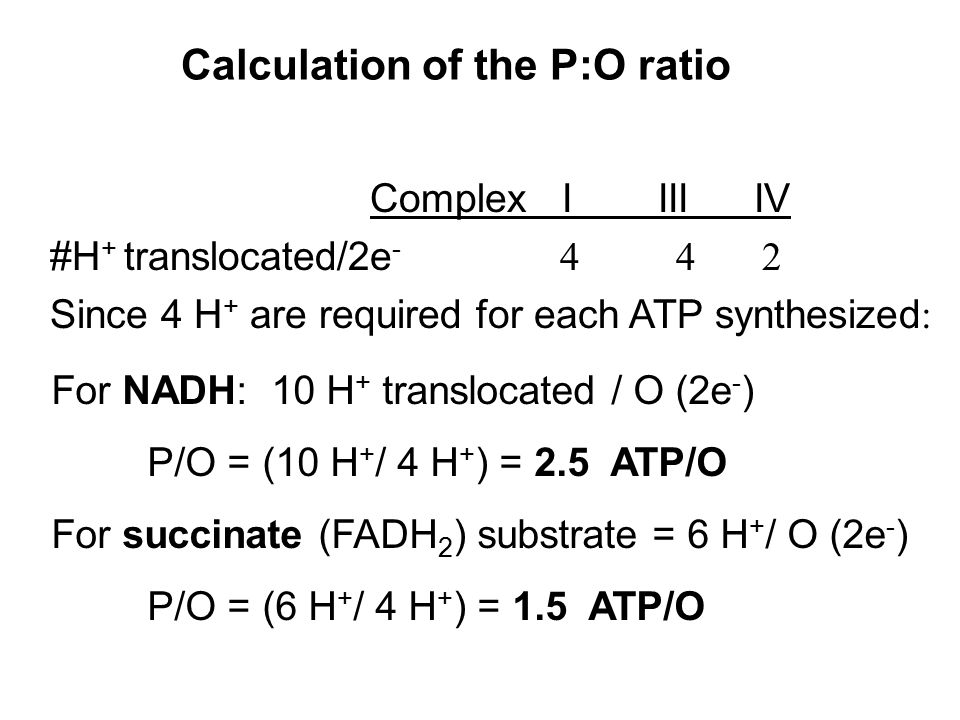 Chapter 14 Electron Transport And Oxidative Phosphorylation Ppt Video Online Download
