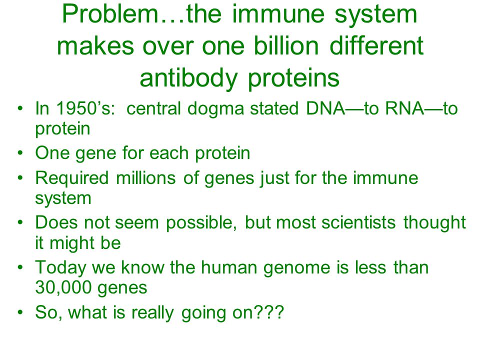 Problem…the immune system makes over one billion different antibody proteins