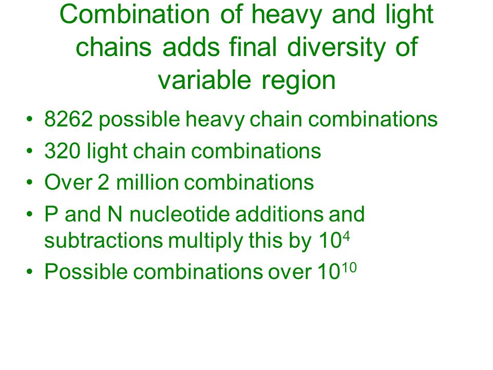 Combination of heavy and light chains adds final diversity of variable region