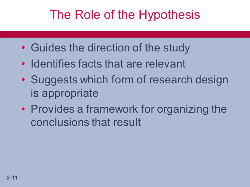 The Role of the Hypothesis