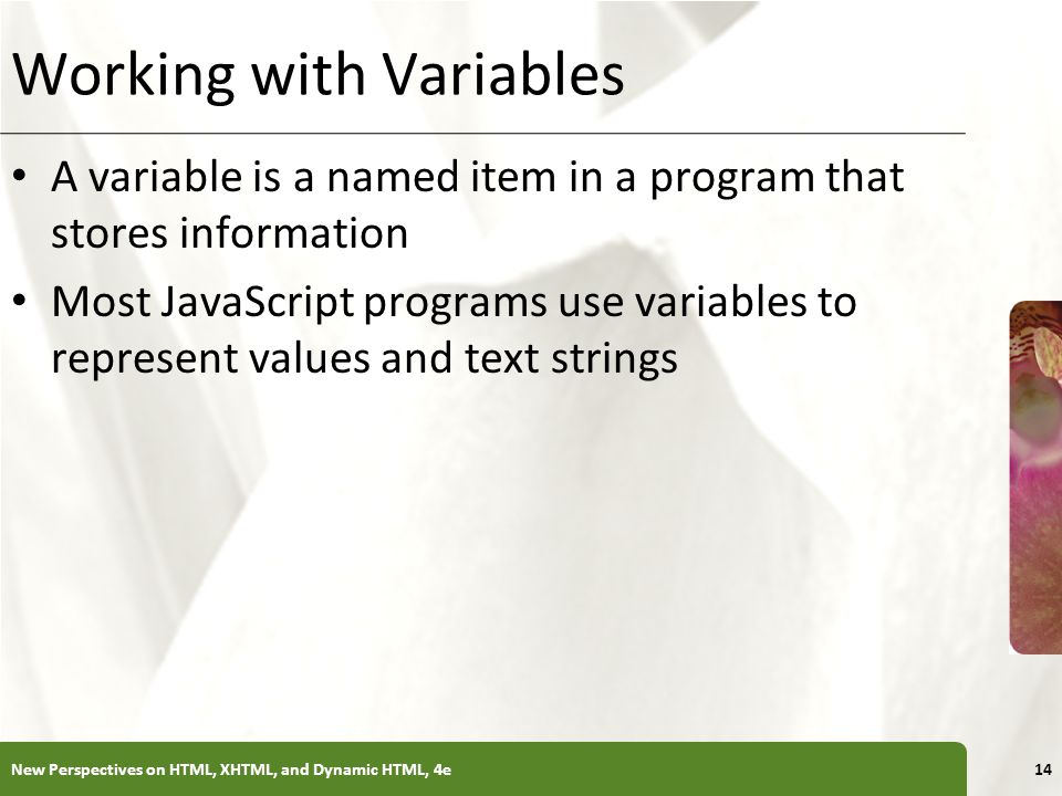 Working with Variables