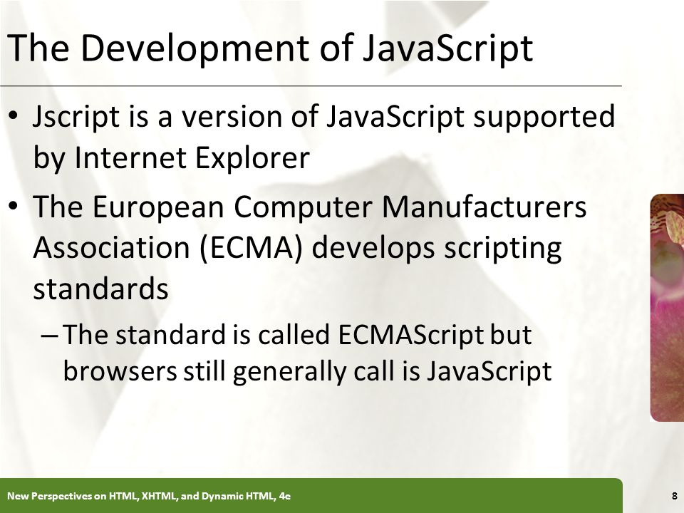 The Development of JavaScript