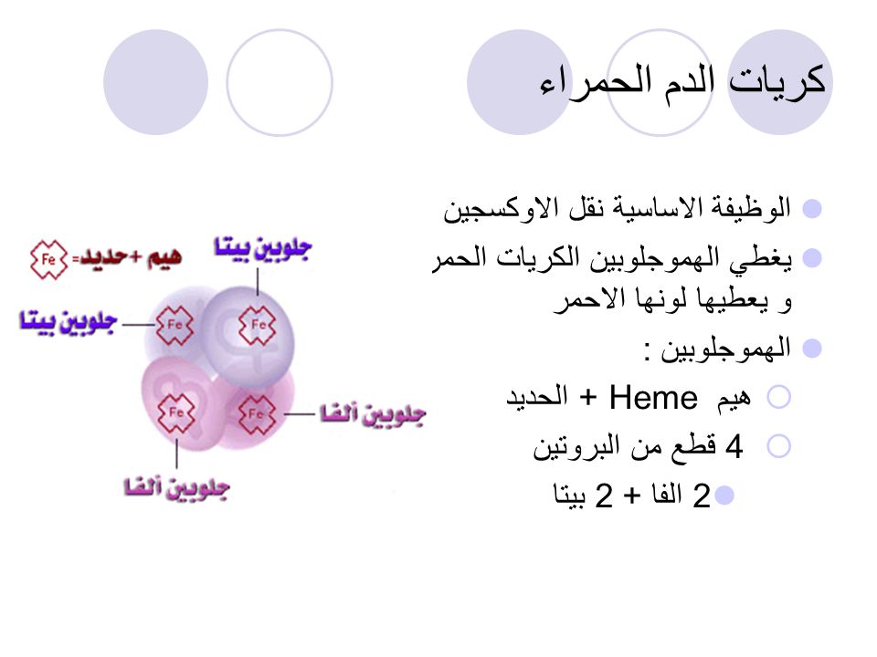 امراض الدم الوراثية احمد السكري. - ppt video online download
