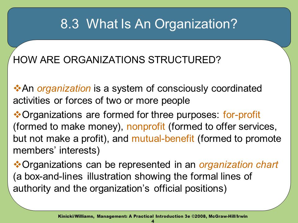 8.3 What Is An Organization