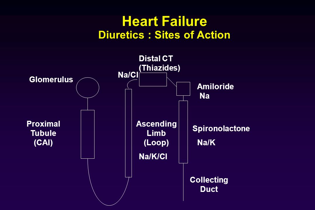 Heart Failure Diuretics : Sites of Action