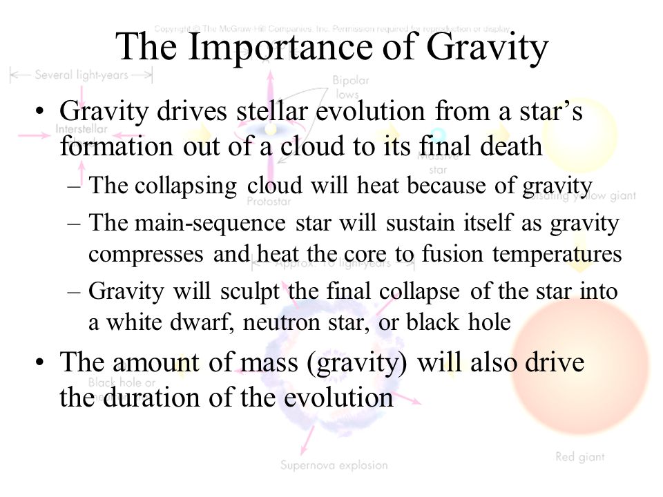 The Importance of Gravity