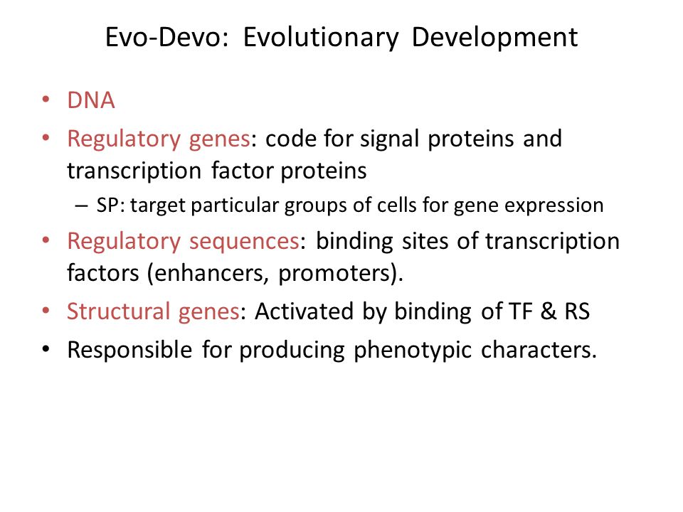 Evo-Devo: Evolutionary Development