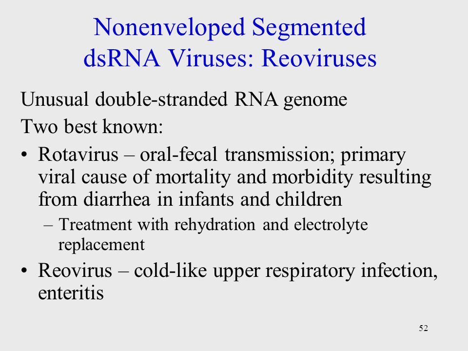 Rna Viruses Diverse Group Of Microbes Ppt Video Online Download Rna Viruses Diverse Group Of Microbes Ppt Video Online Download