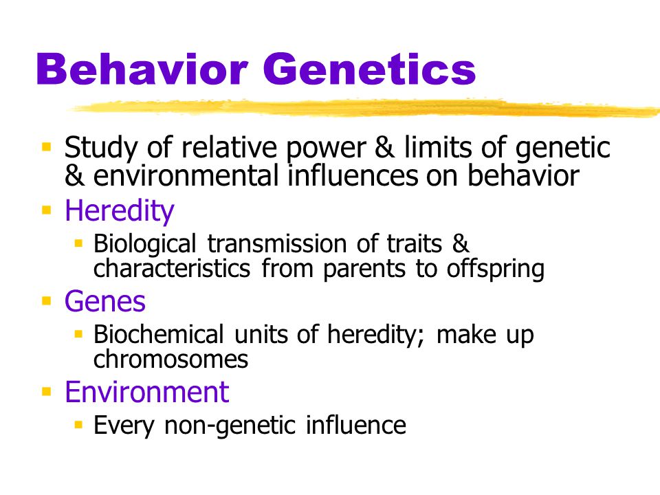 Behavior Genetics Study of relative power & limits of genetic & environmental influences on behavior.