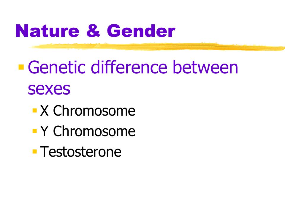 Genetic difference between sexes