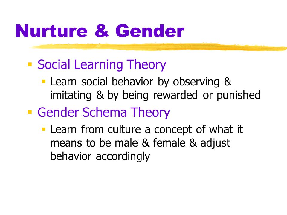 Nurture & Gender Social Learning Theory Gender Schema Theory