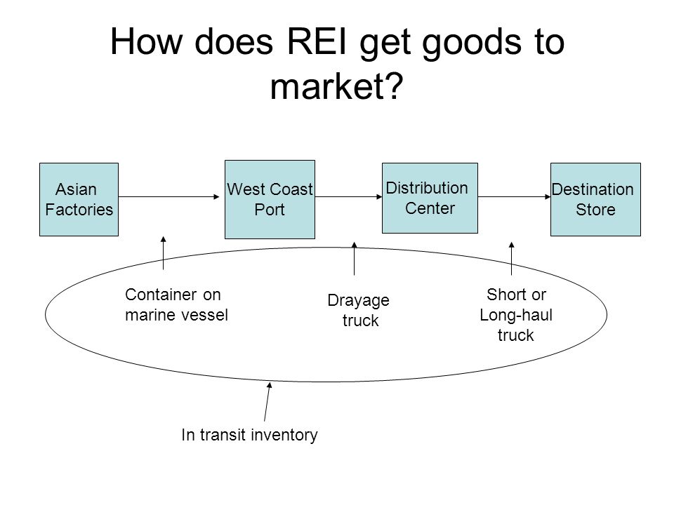 How does REI get goods to market