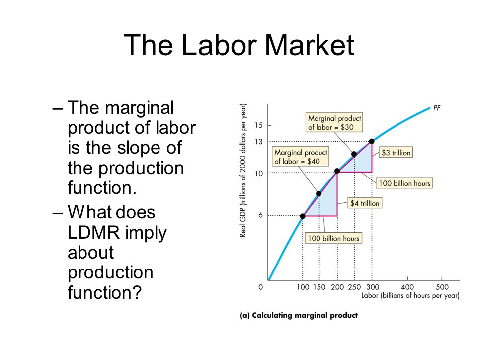 The Labor Market The marginal product of labor is the slope of the production function.
