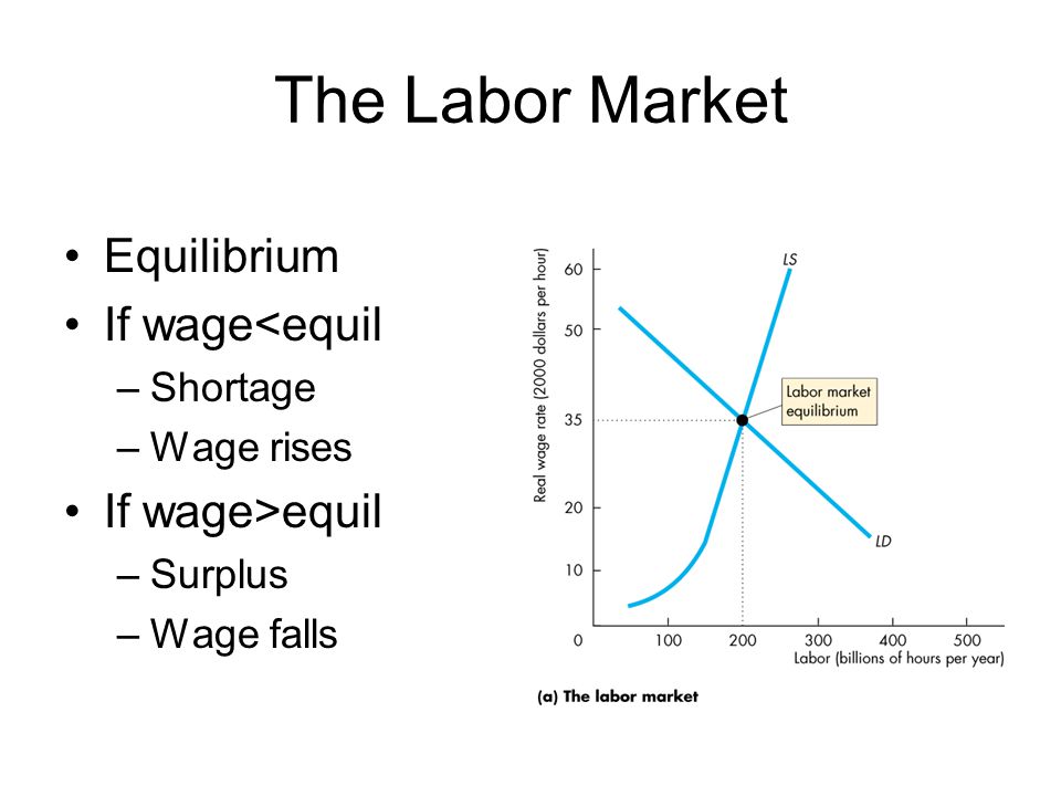 The Labor Market Equilibrium If wage<equil If wage>equil