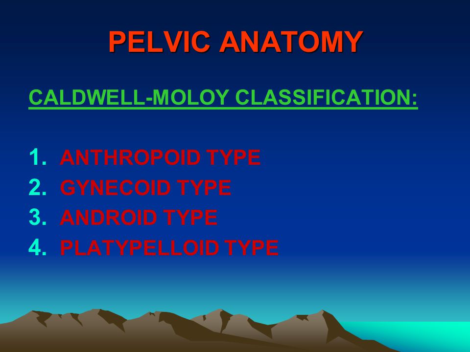 PELVIC ANATOMY CALDWELL-MOLOY CLASSIFICATION: ANTHROPOID TYPE