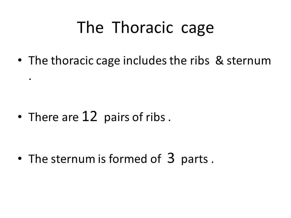The Thoracic cage The thoracic cage includes the ribs & sternum .