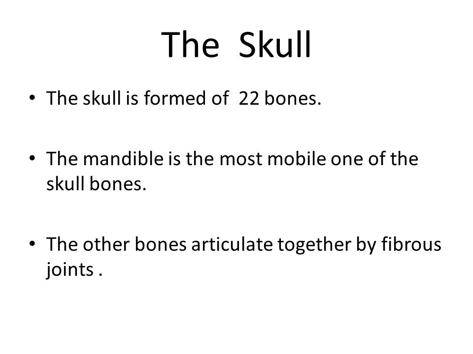 The Skull The skull is formed of 22 bones.